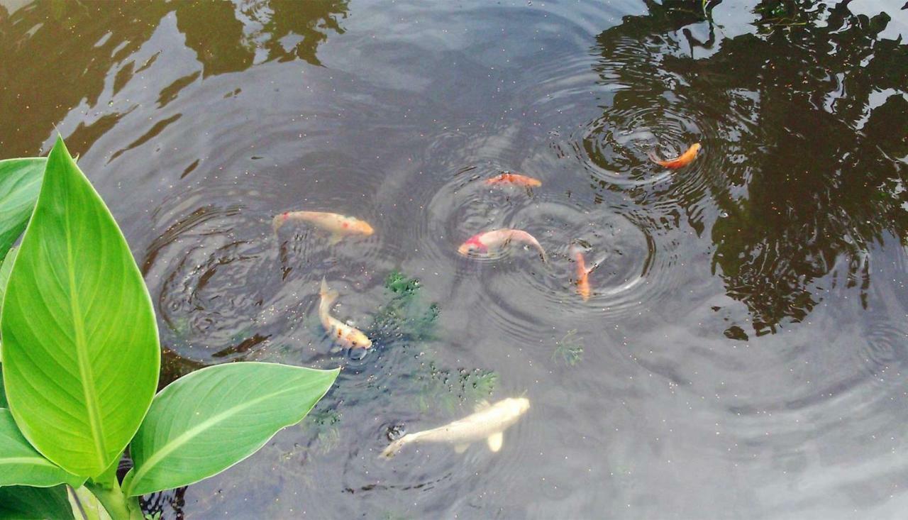 Yesterday Sathon バンコク都 エクステリア 写真